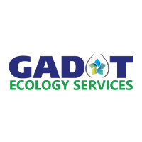 C6